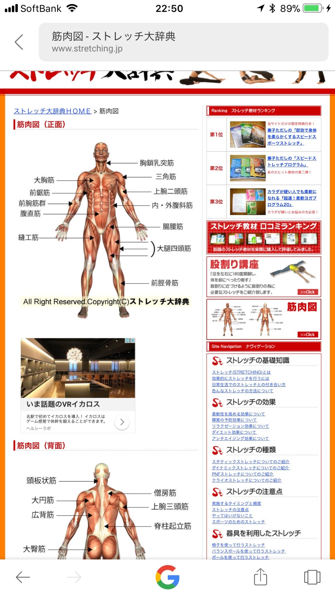 Read more about the article 明日は日曜朝練？