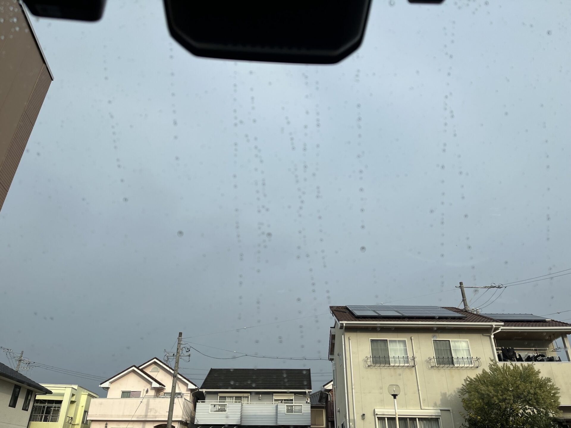 Read more about the article 水曜は雨でした