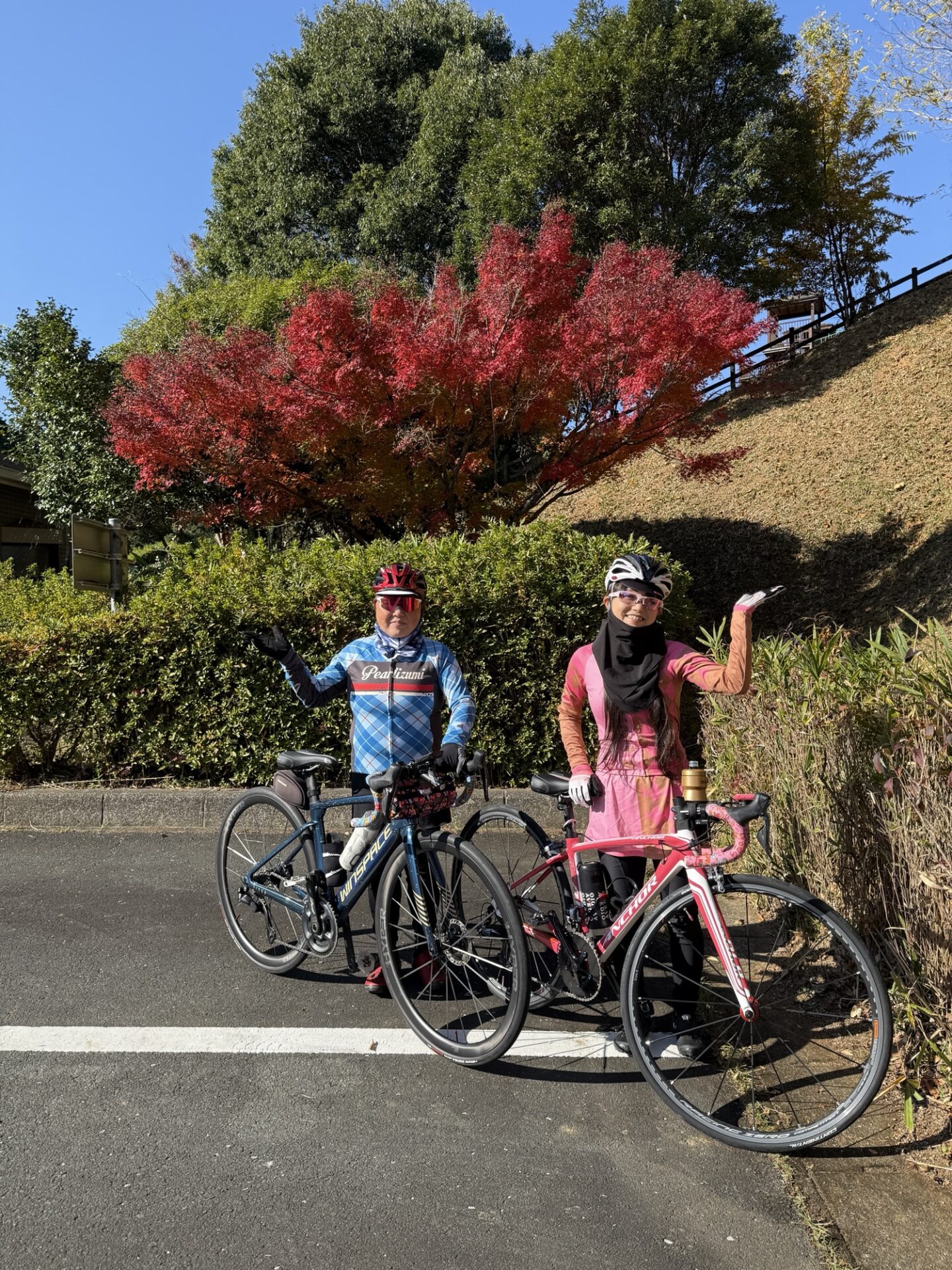 投稿についてもっと詳しく 紅葉狩り