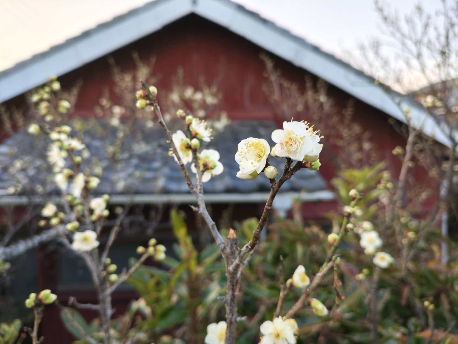 投稿についてもっと詳しく 春？