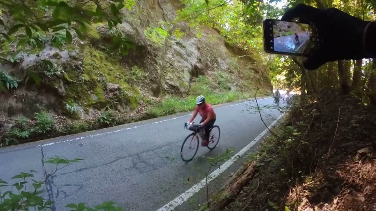 投稿についてもっと詳しく 水曜女子部らいど