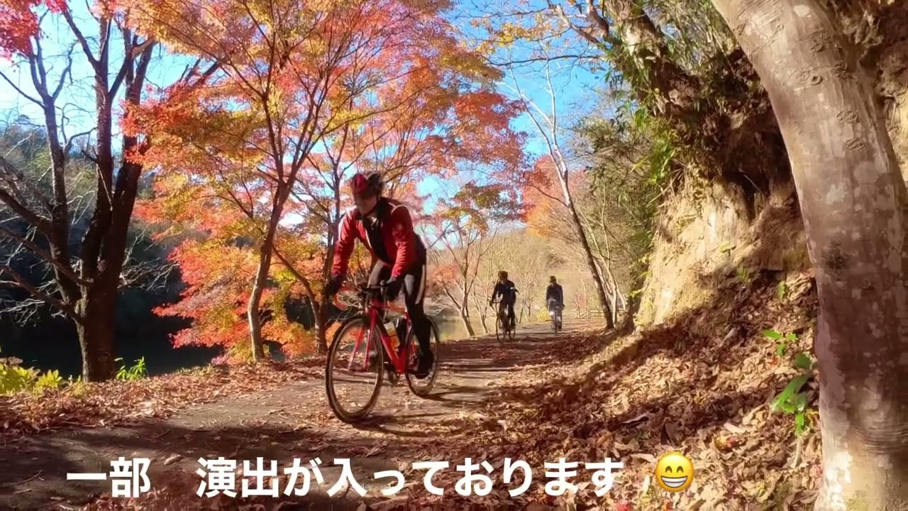 投稿についてもっと詳しく やんばるライドの動画です